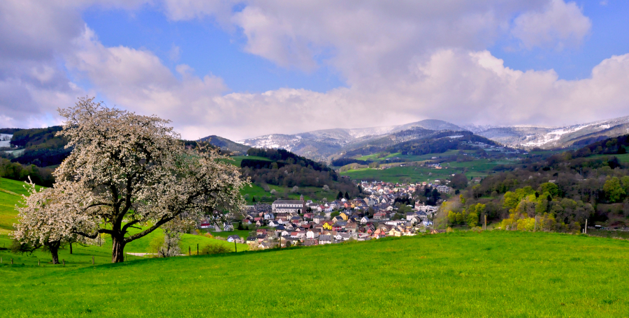 dsc-7533-copie