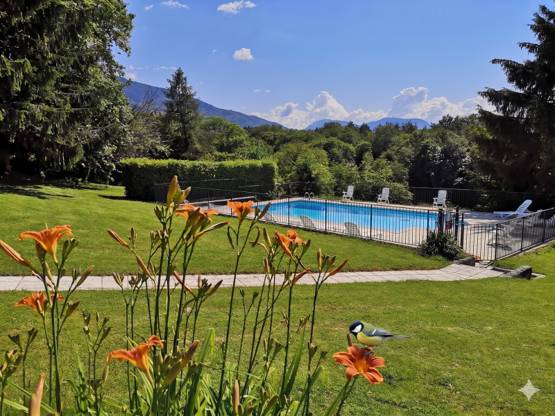 photo-piscine-fleur-mesange